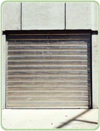 Expert Garage Doors Repairs Des Moines, WA 206-801-0124